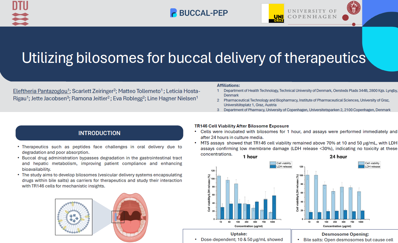 Utilizing bilosomes for buccal delivery of therapeutics