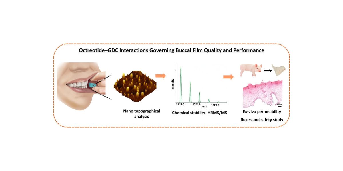 A QbD-informed study of permeation enhancer–octreotide nanoscale interactions influencing performance in pullulan buccal films